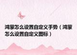 鴻蒙怎么設(shè)置自定義手勢(shì)（鴻蒙怎么設(shè)置自定義圖標(biāo)）