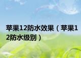 蘋果12防水效果（蘋果12防水級(jí)別）