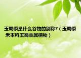 玉蜀黍是什么谷物的別稱?（玉蜀黍 禾本科玉蜀黍?qū)僦参铮? /></span></a>
                        <h2><a  title=