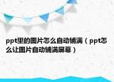 ppt里的圖片怎么自動(dòng)鋪滿（ppt怎么讓圖片自動(dòng)鋪滿屏幕）