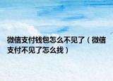 微信支付錢包怎么不見了（微信支付不見了怎么找）