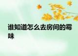 誰知道怎么去房間的霉味