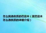 怎么挑選優(yōu)質(zhì)的巴旦木（買巴旦木怎么選優(yōu)質(zhì)的詳細(xì)介紹）