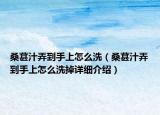 桑葚汁弄到手上怎么洗（桑葚汁弄到手上怎么洗掉詳細(xì)介紹）