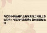 烏拉特中旗毅騰礦業(yè)有限責(zé)任公司是上市公司嗎（烏拉特中旗毅騰礦業(yè)有限責(zé)任公司）