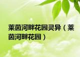 萊茵河畔花園靈異（萊茵河畔花園）