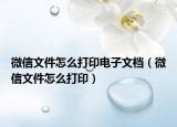 微信文件怎么打印電子文檔（微信文件怎么打?。? /></span></a>
                        <h2><a href=