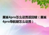 黑鯊4pro怎么設(shè)置返回鍵（黑鯊4pro導(dǎo)航鍵怎么設(shè)置）