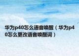 華為p40怎么語(yǔ)音喚醒（華為p40怎么更改語(yǔ)音喚醒詞）