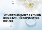 支付寶哪里可以查疫苗批號(hào)（支付寶怎么查詢疫苗批號(hào) 打完疫苗批號(hào)在支付寶怎么查介紹）