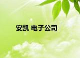 安凱 電子公司