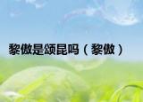 黎傲是頌昆嗎（黎傲）