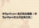 華為p50 pro 免打擾在哪里（華為p50pro怎么開啟免打擾）