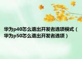 華為p40怎么退出開發(fā)者選項模式（華為p50怎么退出開發(fā)者選項）