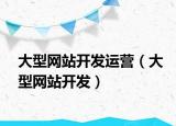 大型網(wǎng)站開發(fā)運(yùn)營(yíng)（大型網(wǎng)站開發(fā)）