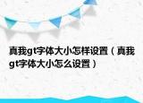 真我gt字體大小怎樣設(shè)置（真我gt字體大小怎么設(shè)置）