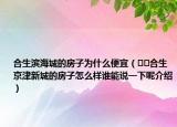 合生濱海城的房子為什么便宜（??合生京津新城的房子怎么樣誰能說一下呢介紹）