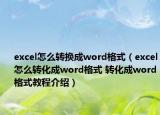 excel怎么轉(zhuǎn)換成word格式（excel怎么轉(zhuǎn)化成word格式 轉(zhuǎn)化成word格式教程介紹）