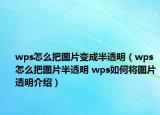 wps怎么把圖片變成半透明（wps怎么把圖片半透明 wps如何將圖片透明介紹）
