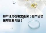 房產證號在哪里查詢（房產證號在哪里看介紹）