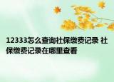 12333怎么查詢社保繳費記錄 社保繳費記錄在哪里查看