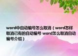 word中自動編號怎么取消（word怎樣取消已有的自動編號 word怎么取消自動編號介紹）
