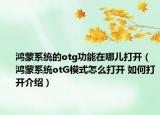 鴻蒙系統(tǒng)的otg功能在哪兒打開（鴻蒙系統(tǒng)otG模式怎么打開 如何打開介紹）
