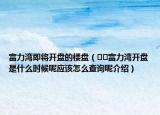 富力灣即將開盤的樓盤（??富力灣開盤是什么時候呢應該怎么查詢呢介紹）