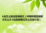 b站怎么取消豎屏模式（嗶哩嗶哩豎屏模式怎么關(guān) b站豎屏模式怎么關(guān)閉介紹）