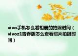 vivo手機(jī)怎么看相冊的拍照時間（vivoz1青春版怎么查看照片拍攝時間）