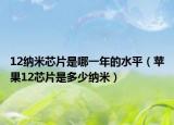 12納米芯片是哪一年的水平（蘋果12芯片是多少納米）