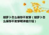胡蘿卜怎么保存不發(fā)芽（胡蘿卜怎么保存不發(fā)芽呢詳細(xì)介紹）