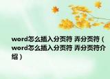 word怎么插入分頁符 弄分頁符（word怎么插入分頁符 弄分頁符介紹）