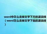 word中怎么去掉文字下方的波浪線（word怎么去掉文字下面的波浪線）