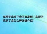 車?yán)遄映远嗔藭?huì)不會(huì)發(fā)胖（車?yán)遄映远嗔藭?huì)怎么樣詳細(xì)介紹）