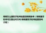 陌陌怎么搜索手機號碼查到陌陌賬號（陌陌搜手機號可以查出對方嗎 陌陌搜索手機號能查到嗎介紹）
