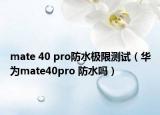 mate 40 pro防水極限測試（華為mate40pro 防水嗎）