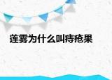 蓮霧為什么叫痔瘡果