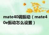 mate40調(diào)振動（mate40e振動怎么設(shè)置）