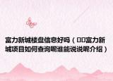 富力新城樓盤信息好嗎（??富力新城項(xiàng)目如何查詢呢誰能說說呢介紹）
