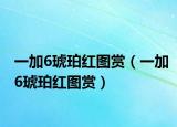 一加6琥珀紅圖賞（一加6琥珀紅圖賞）