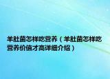 羊肚菌怎樣吃營養(yǎng)（羊肚菌怎樣吃營養(yǎng)價(jià)值才高詳細(xì)介紹）