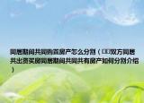 同居期間共同購置房產怎么分割（??雙方同居共出資買房同居期間共同共有房產如何分割介紹）