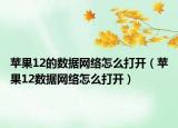 蘋果12的數(shù)據(jù)網(wǎng)絡(luò)怎么打開（蘋果12數(shù)據(jù)網(wǎng)絡(luò)怎么打開）