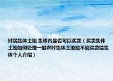 村民集體土地,集體內是否可以買賣（買賣集體土地如何處理一般農村集體土地能不能買賣給集體個人介紹）