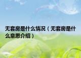 無套房是什么情況（無套房是什么意思介紹）