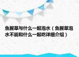 魚腥草與什么一起泡水（魚腥草泡水不能和什么一起吃詳細(xì)介紹）