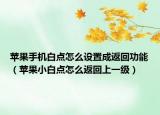 蘋果手機(jī)白點(diǎn)怎么設(shè)置成返回功能（蘋果小白點(diǎn)怎么返回上一級(jí)）