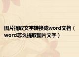 圖片提取文字轉(zhuǎn)換成word文檔（word怎么提取圖片文字）