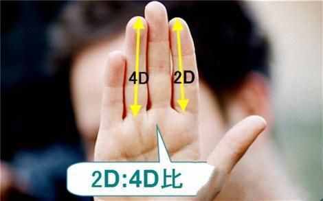 你的食指和無名指哪個(gè)更長？對(duì)照一下，你會(huì)發(fā)現(xiàn)三個(gè)秘密